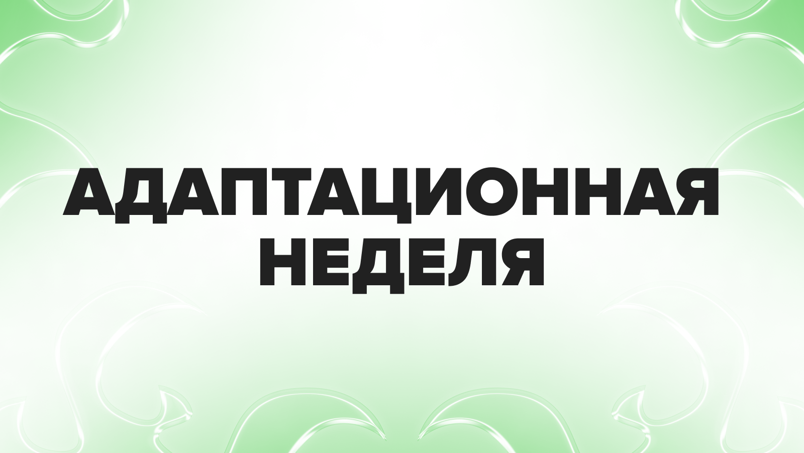 Адаптационная неделя 2.0